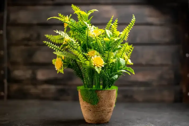 Arreglo de helechos con flores amarillas